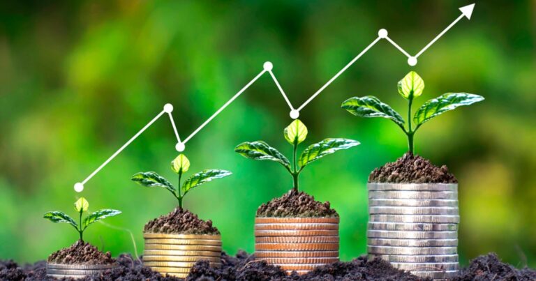 Agropecuária avança nas exportações e reforça saldo comercial de maio