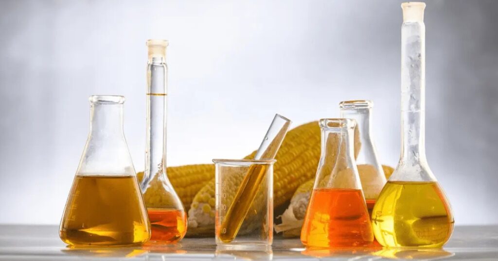 biodiesel em Mato Grosso
