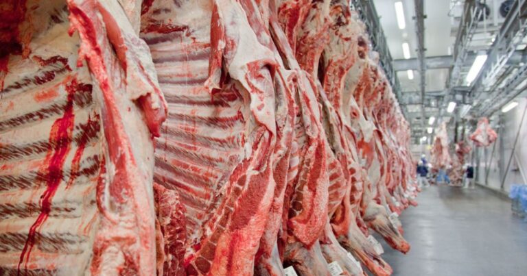 Carcaça bovina atinge maior média histórica em abril, aponta Cepea