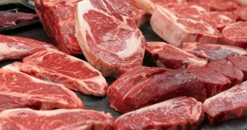 carne bovina