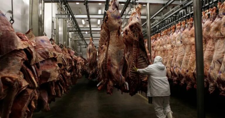 Carne bovina ajuda Mato Grosso a liderar balança comercial