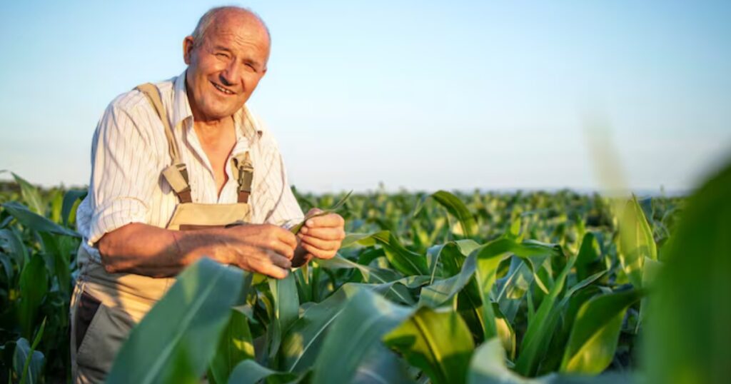 Dia do Campo