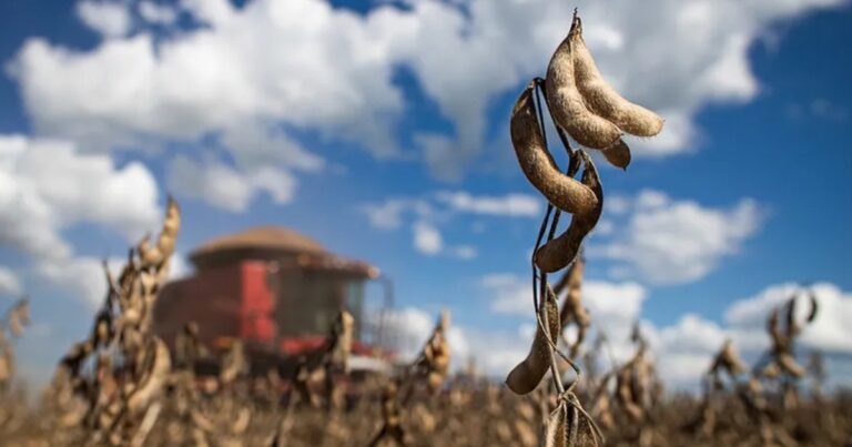 Possível atuação do El Niño pode reduzir produtividade da soja em Mato Grosso na safra 2026/27
