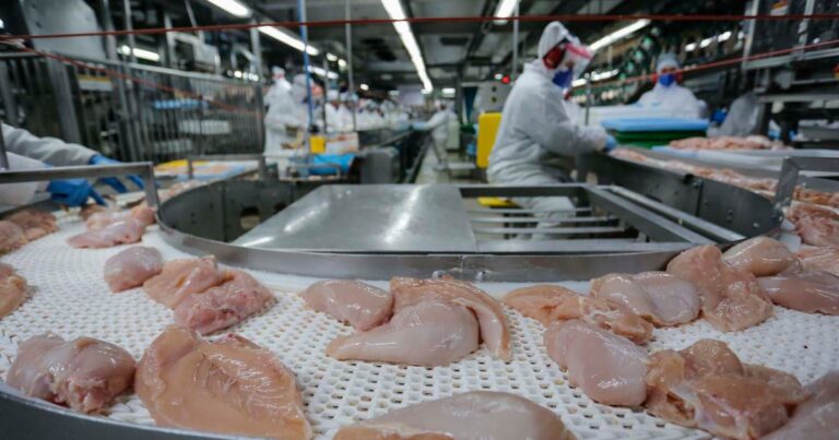 Carne de frango bate recorde de exportação em abril