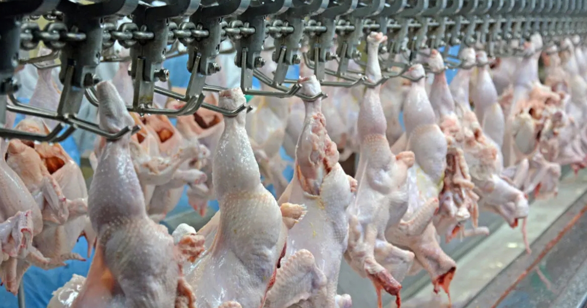 Agro cresce 2,8% no segundo trimestre, mas especialistas alertam que produção maior não garante mais margem