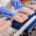 Exportações brasileiras de frango registram melhor abril da história e avançam no acumulado de 2026