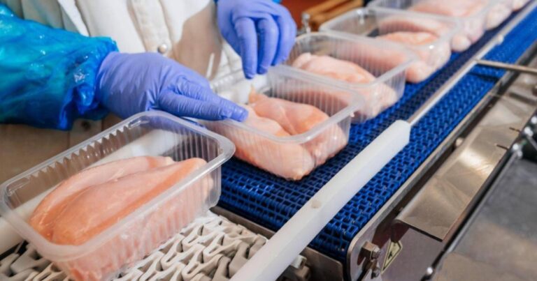 Exportações brasileiras de frango registram melhor abril da história e avançam no acumulado de 2026
