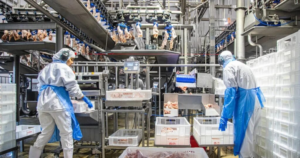 jovens lideranças industriais