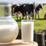 Leite UHT sobe mais de 20% no Sudeste e pressiona preços de alimentos básicos em abril