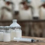Mapa libera mais 12,3 milhões de doses contra clostridioses