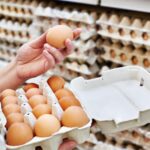 Avicultores austríacos pressionam por ovos locais nas prateleiras dos supermercados