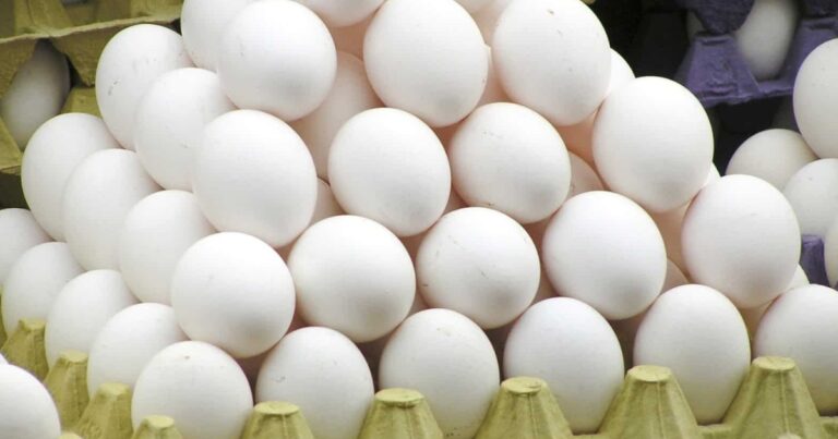 Preço dos ovos reage no início de maio com avanço da demanda e preparação para o Dia das Mães