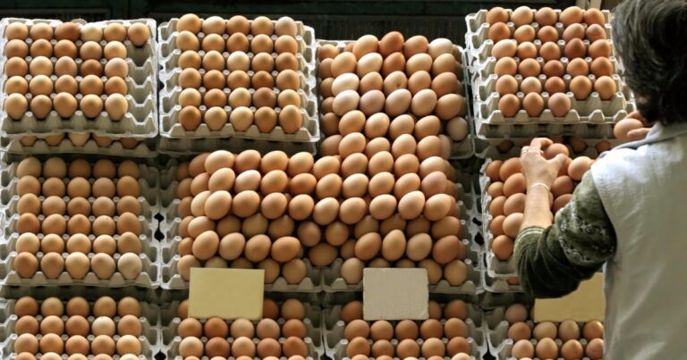 Oferta equilibrada sustenta preços dos ovos em maio