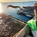 Plano nacional define ações para aquicultura nos próximos dez anos