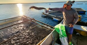 Plano nacional define ações para aquicultura nos próximos dez anos