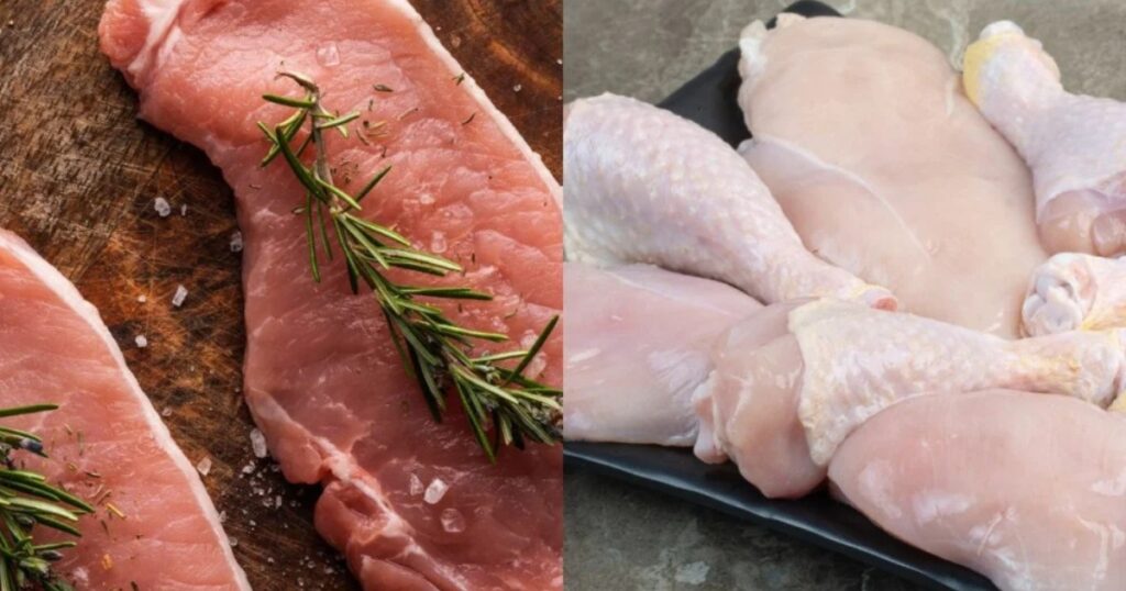 exportações de proteína animal