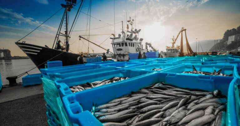 exportação de pescado