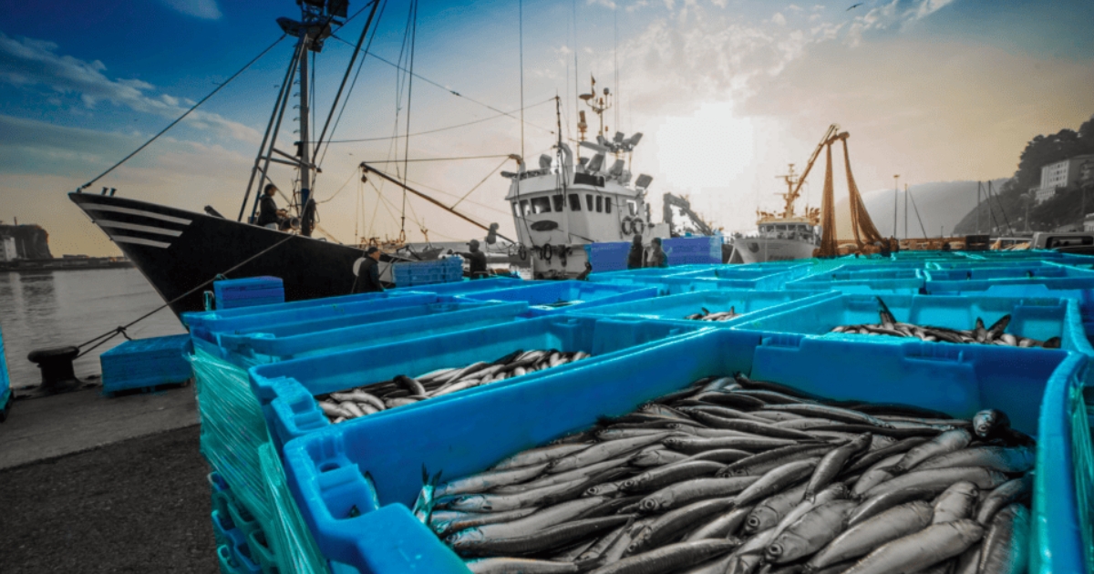 exportação de pescado