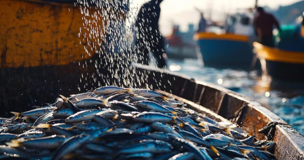 exportação de pescado
