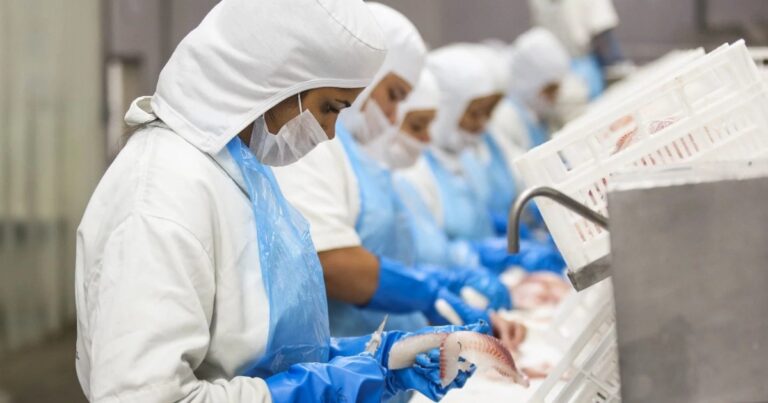 Pesca e aquicultura movimentam empregos e ampliam produção de pescado no Brasil