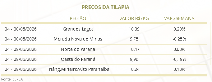 preço da tilápia