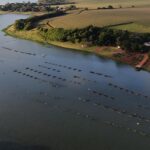 Aquicultura em reservatórios de hidrelétricas ganha novas diretrizes