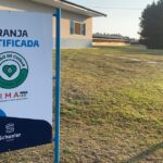 Bem-estar único avança na produção animal brasileira