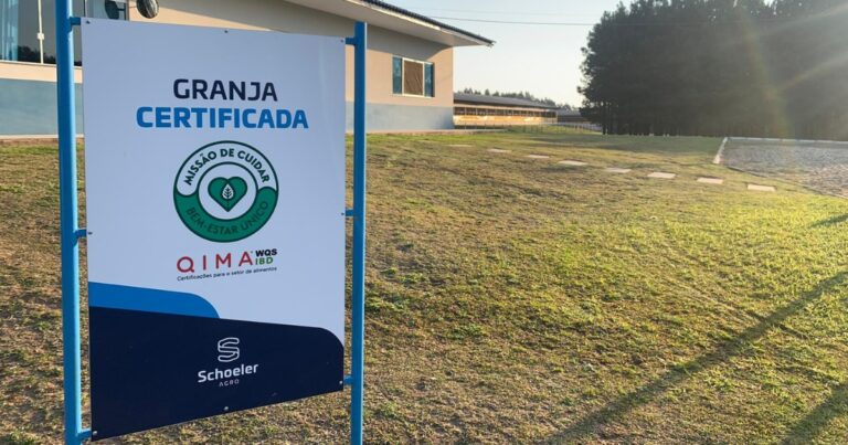 Bem-estar único avança na produção animal brasileira