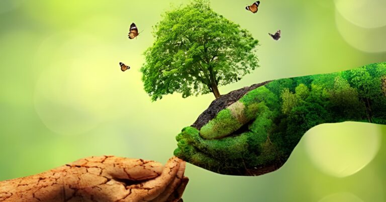 Dia Mundial do Meio Ambiente reforça desafios sustentáveis no agro