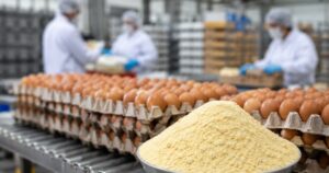 Egito inicia exportação de ovos desidratados para o Oriente Médio