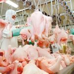 Exportações de carne de frango passam de US$ 1 bilhão em maio