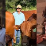 Feicorte 2026 terá painel feminino sobre a cadeia produtiva da carne