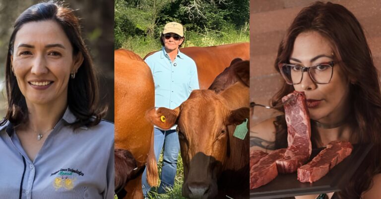 Feicorte 2026 terá painel feminino sobre a cadeia produtiva da carne