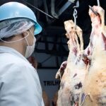 Frigoríficos investem em tecnologia para manter competitividade