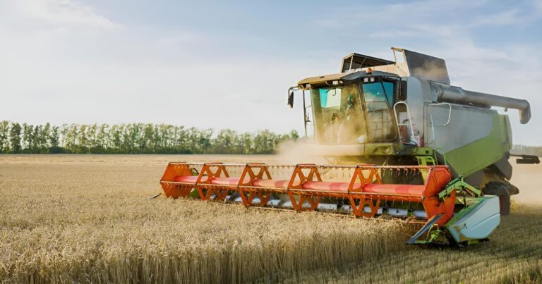 Recorde de empresas exportadoras reforça ambiente para agroindústrias