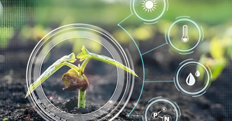 Conhecimento, inovação e o novo mercado do marketing com inteligência artificial no agronegócio