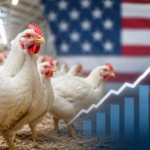 USDA eleva previsão para produção de frango nos EUA em 2026