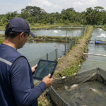 Protocolo mapeia risco sanitário entre viveiros de peixes