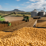 Safras elevadas no Brasil e nos EUA devem pressionar preços da soja em 2026/27