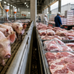 Carne suína perde competitividade mesmo com demanda aquecida em junho
