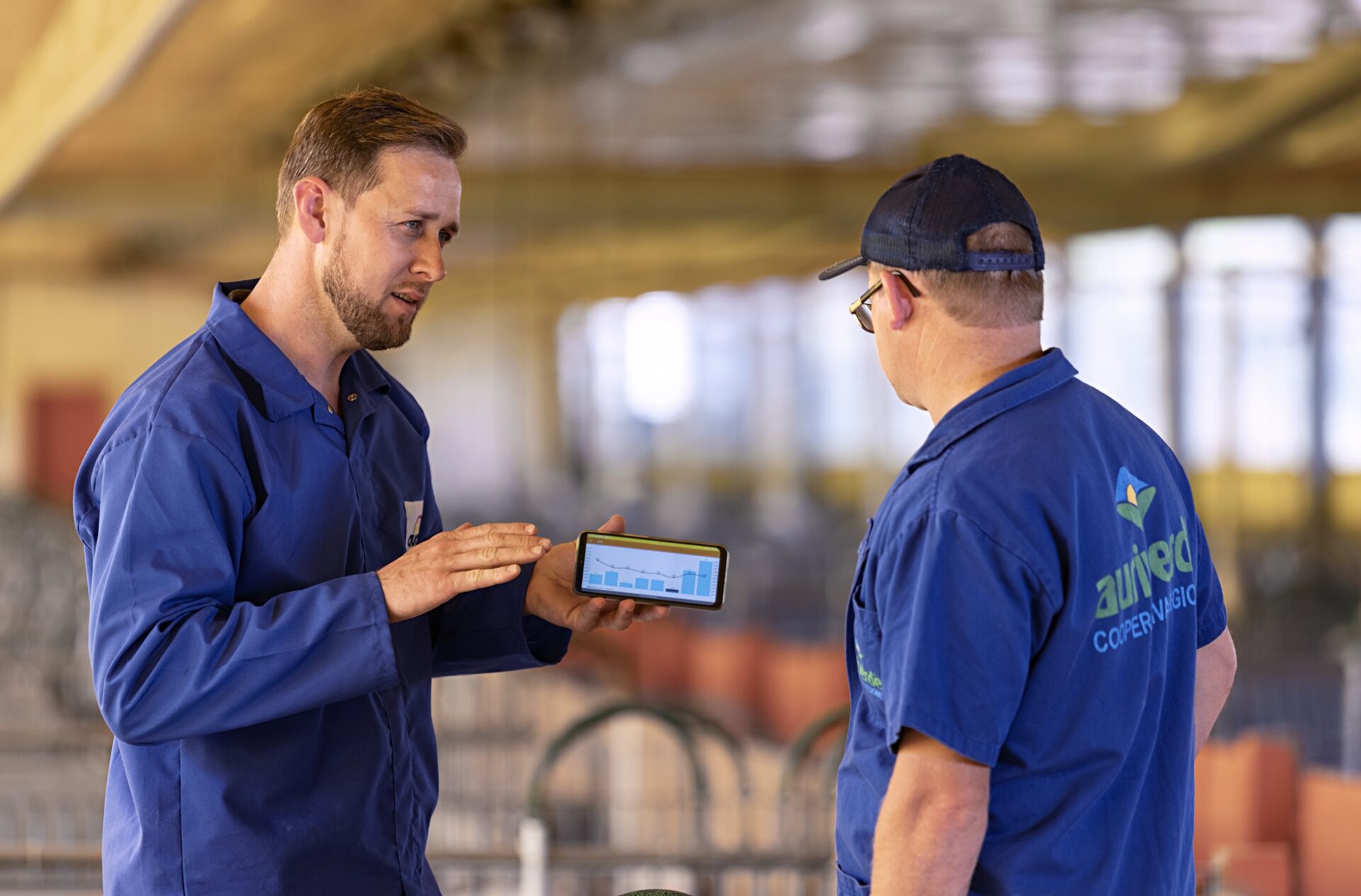 Aurora Coop amplia gestão de bem-estar animal com sistema de indicadores e monitoramento contínuo