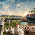 Brasil amplia protagonismo na geopolítica global dos alimentos