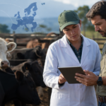 Entidades contestam adoção nacional de regras europeias para antimicrobianos