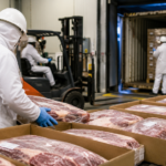 Exportações de carne bovina atingem recorde no primeiro semestre