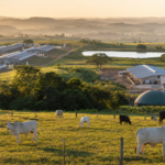 Sustentabilidade amplia eficiência nas cadeias de proteína animal