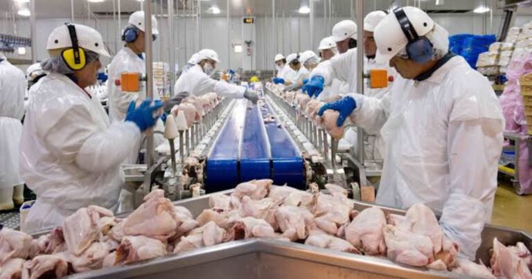 Carnes de aves avançam 31,8% nas exportações brasileiras em julho