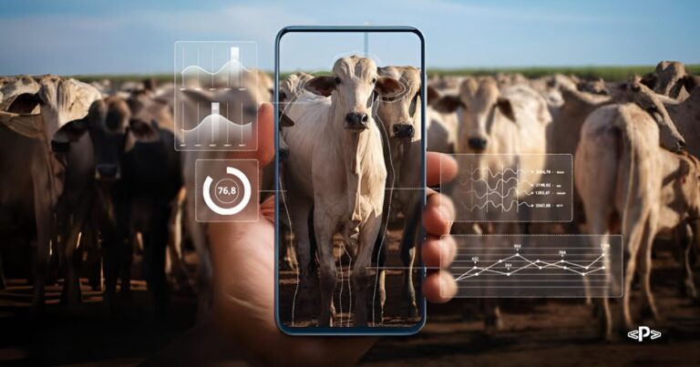 Exigências internacionais ampliam importância da rastreabilidade digital no agro