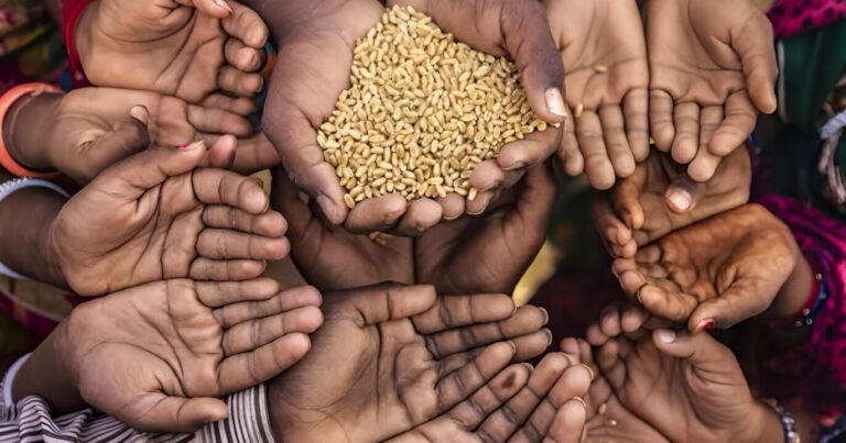 Agro brasileiro entra no debate sobre segurança alimentar árabe