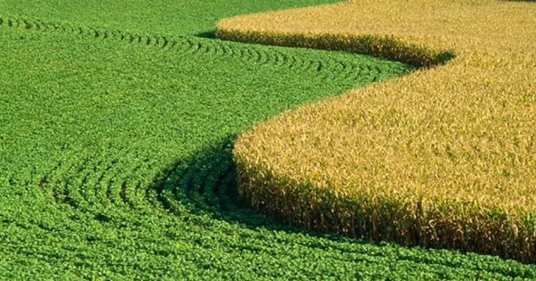 Produtores rurais do Sistema Cantareira poderão receber até R$ 13 mil por hectare para restauração ambiental