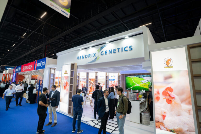 Inovação no SIAVS 2026: como a Hendrix Genetics está transformando o potencial avícola